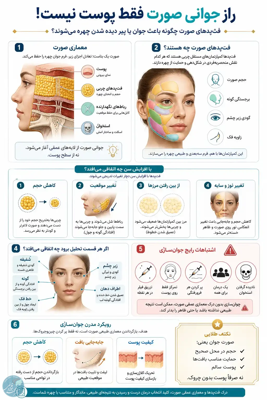 اینفوگرافیک بالشتک‌های چربی صورت