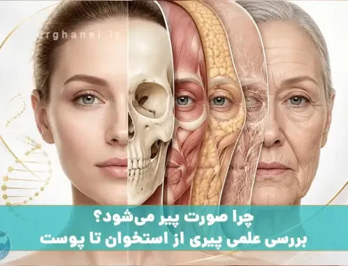 چرا صورت پیر می‌شود؟ بررسی علمی پیری از استخوان تا پوست