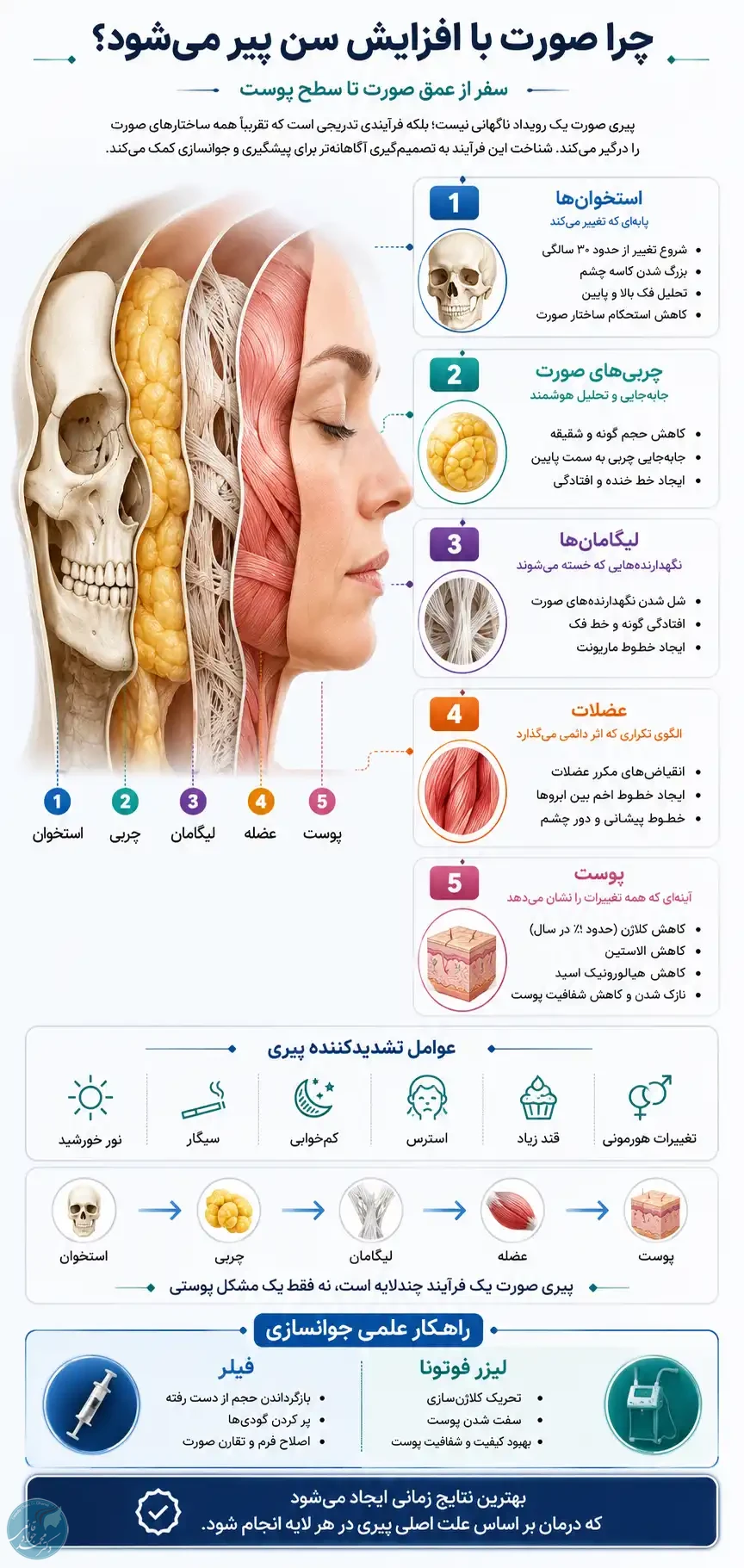 چرا صورت پیر می‌شود؟ بررسی علمی پیری از استخوان تا پوست