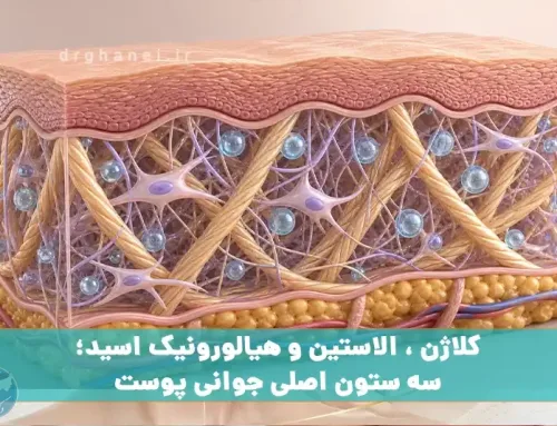 کلاژن ، الاستین و هیالورونیک اسید؛ سه ستون اصلی جوانی پوست